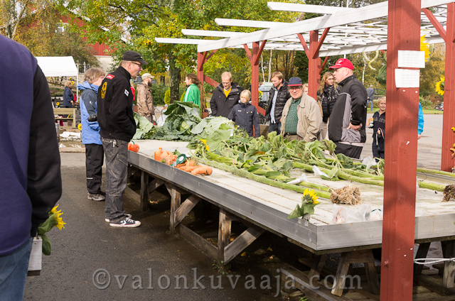 Jättikasvisten SM-kisa 29.9.2012 | Finnish Giant Vegetable Championships