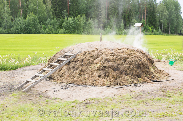 Renkoviikko 2012 - Markus Kauppinen