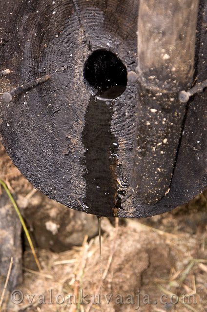 Renkoviikko 2012 - Markus Kauppinen