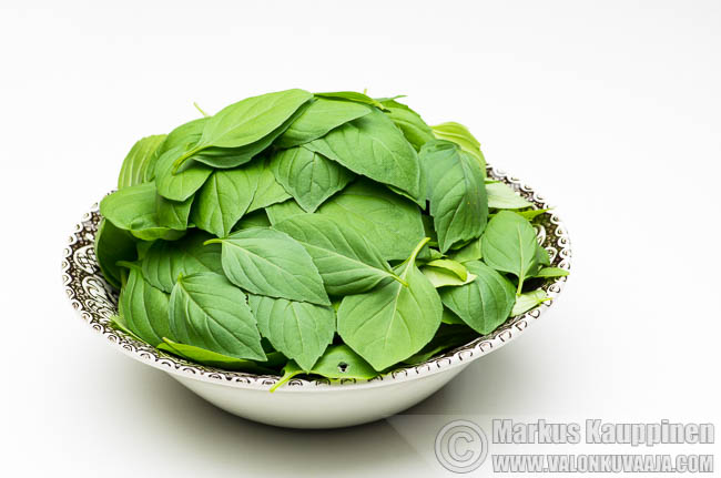 Basilikan lehtiä. Kuvaaja: Markus Kauppinen