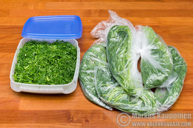 Tillisato. Valokuvaaja: Markus Kauppinen