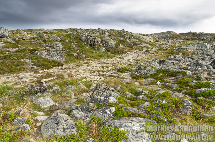 Saanatunturi. Valokuvaaja: Markus Kauppinen